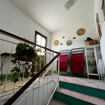 Villa Luka Apartman Pavo Ston Exterior photo